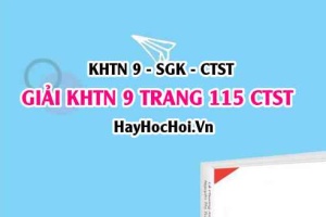 Giải KHTN 9 trang 115 Chân trời sáng tạo SGK